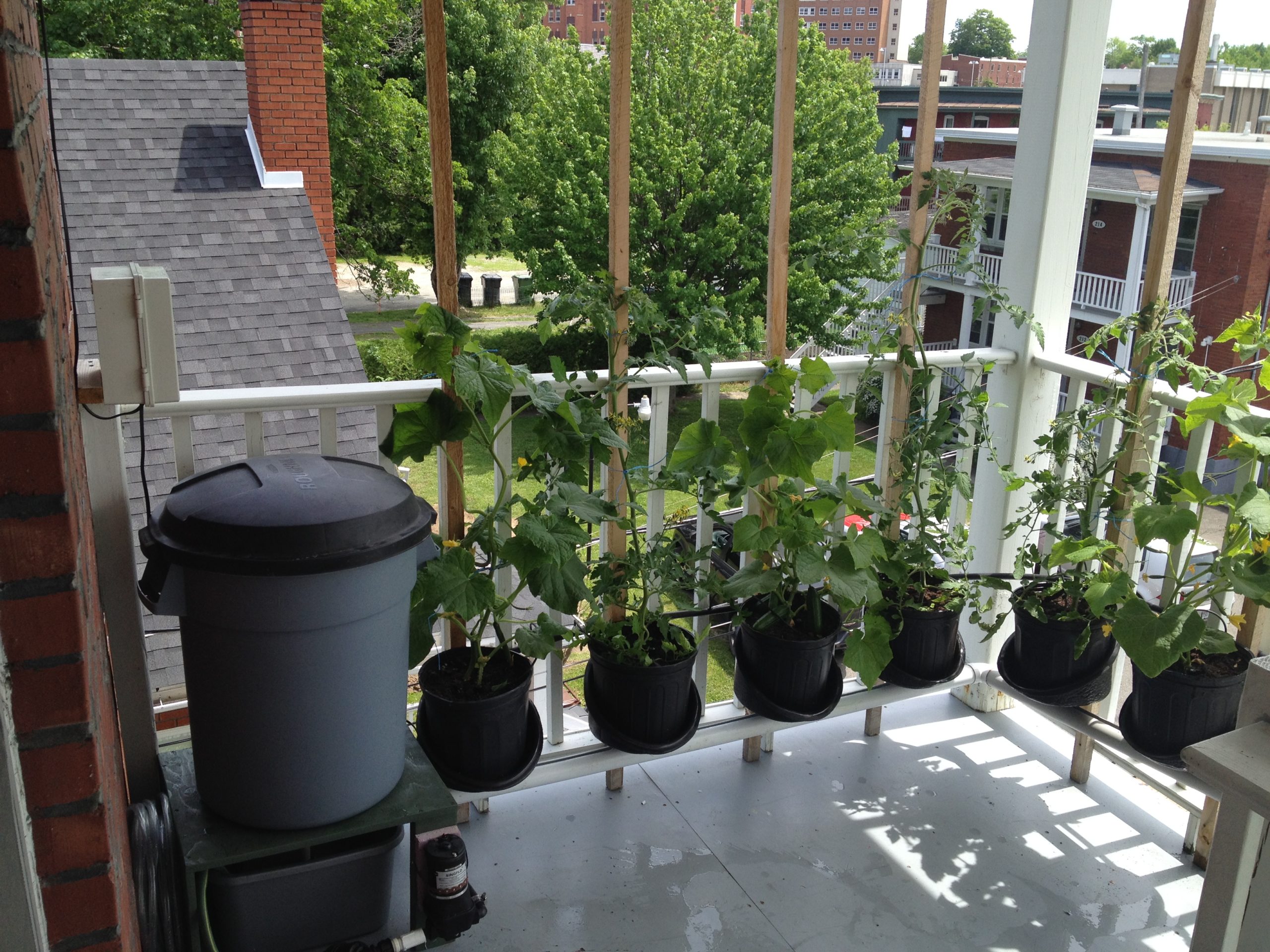 Jardin 7 pots sur balcon